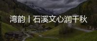 快排公司十年历程，霸屏兔 seo 的崛起与坚守