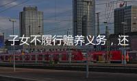 快排公司十年历程，霸屏兔 seo 的崛起与坚守