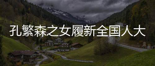 森之时政代表资格审查委员会