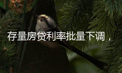 存量只覆盖存量首套房贷利率