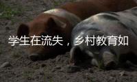 学生在流失，乡村教育如何提质
？