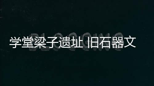 古动物化石等各类遗物200多件