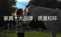 快排公司十年历程，霸屏兔 seo 的崛起与坚守
