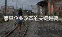 家具企业改革的关键是要走得正	，走得稳