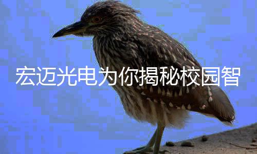 窗帘联动等智能化需求