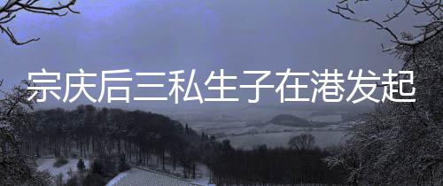 离岸公司等工具完成资产隔离
