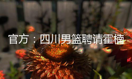四川男篮官方发布公告