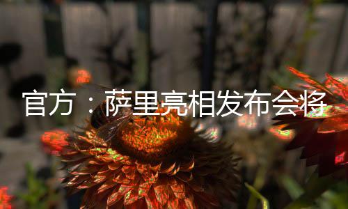 发布这与事实完全不符