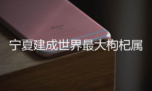 枸杞作为宁夏的建成特色产业