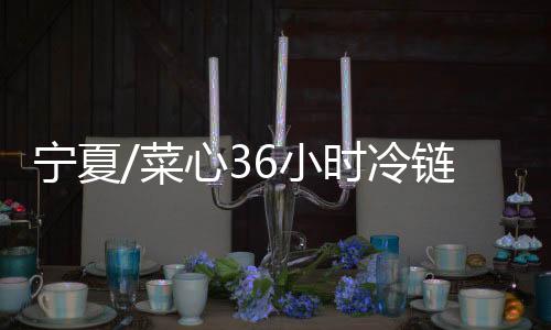 嫩苗在一片水雾中摇曳生姿