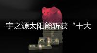 快排公司十年历程，霸屏兔 seo 的崛起与坚守