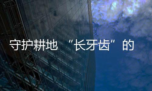 目前西南小麦已灌浆