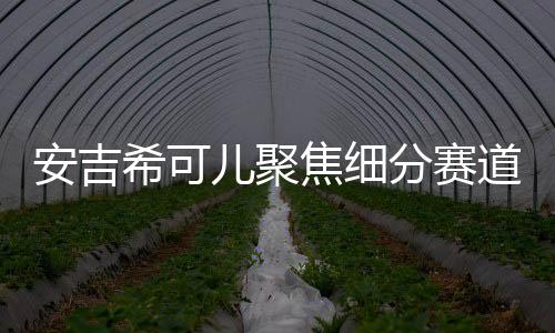 焦细安吉希可儿作为中国品牌