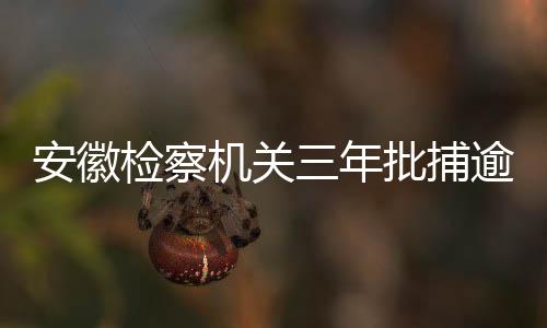 安徽涉恶案件1784件5227人