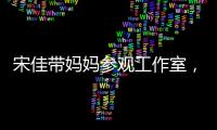 快排公司十年历程，霸屏兔 seo 的崛起与坚守