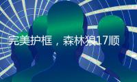 快排公司十年历程，霸屏兔 seo 的崛起与坚守