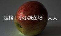 定格丨小小绿茵场，大大足球梦�！是什么，让这群孩子有哭有笑？