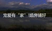 宠爱有“家”!婚房铺好世友地板	，就结婚吧