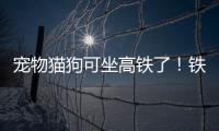 宠物猫狗可坐高铁了！铁路12306推出“宠物托运”功能