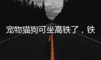 宠物猫狗可坐高铁了�，铁路12306推出“宠物托运”功能
