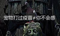 宠物打过疫苗≠你不会感染	！被宠物抓伤后应该怎么办？
