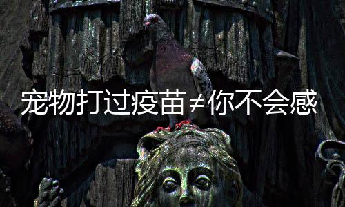 只有轻微抓伤或擦伤时