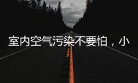 室内空气污染不要怕，小海鸥贝壳粉还你清新空气!