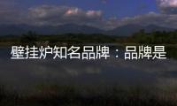 壁挂炉知名品牌
：品牌是“亮点” 售后服务树口碑