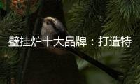 壁挂炉十大品牌
：打造特色产品 立足国际市场之林