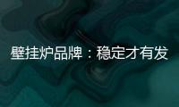 壁挂炉品牌
：稳定才有发展