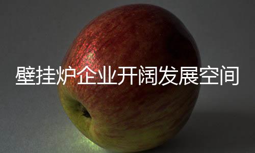 壁挂销售可能性调查