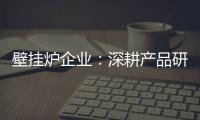 壁挂炉企业：深耕产品研发 把握消费需求