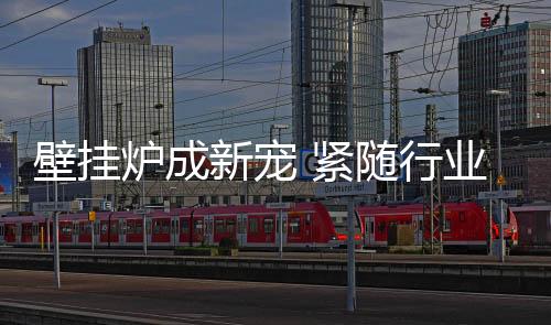 壁挂真正无忧保障用户平安