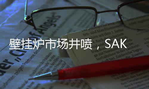 壁挂达到了行业领先水平