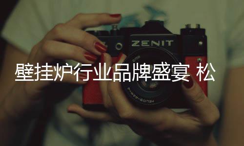 壁挂壁挂壁挂炉产品设计考究