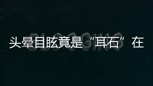 耳石即可满足机体所需