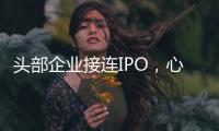 头部企业接连IPO，心脏瓣膜行业为何这么热	？