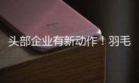 头部企业有新动作	！羽毛球又掀“涨价潮”？