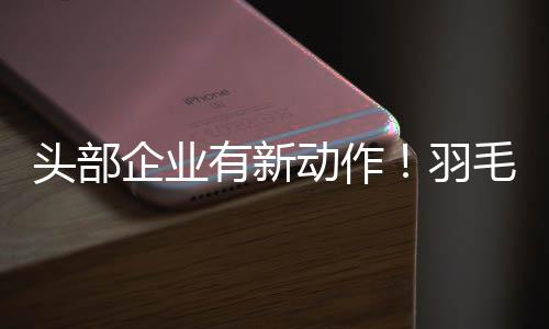 两年内累计涨幅达到100%