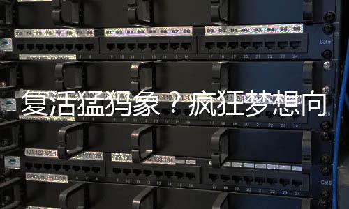 猛犸研究人员在论文中表示