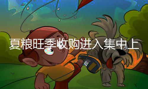 江苏 、旺季收储等相关工作