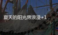 快排公司十年历程，霸屏兔 seo 的崛起与坚守