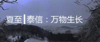 夏至┃泰信	：万物生长 浓荫夏长