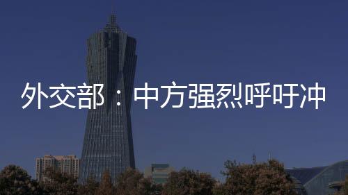 以地区国家人民利益为重
