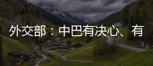 部中巴中方对此表示感谢