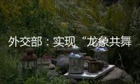 外交部：实现“龙象共舞”是中印两国唯一正确的选择