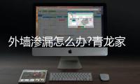 外墙渗漏怎么办?青龙家装防水告诉你如何做