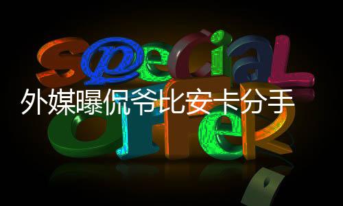 两人很快便坠入爱河并且结婚