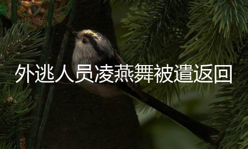 坚决维护人民群众切身利益