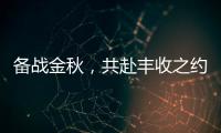 备战金秋，共赴丰收之约！潍柴WP6/WP7H收获机动力批量交付